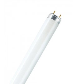 Лампа люмінесцентна Osram 15W